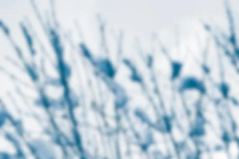 Winter landscape - blurred image 库存照片