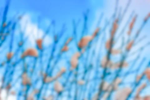 Winter landscape - blurred image 写真素材