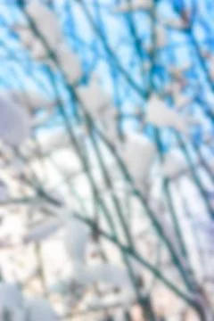 Winter landscape - blurred image 스톡 사진