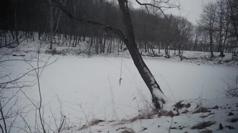Winter landscape. bungee jumping hanging from a tree over a small frozen pond Stock Footage 297454099