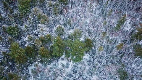 Winter landscape captured from above after blizzard in Northern Michigan Stock Footage 336793079