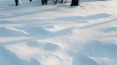 A winter landscape capturing the texture of the snow cover on a sunny day. The Stock Photos