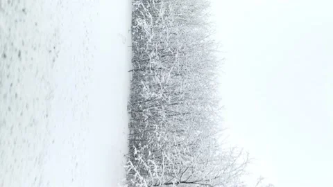 Winter landscape car window. Stock Footage 168056676