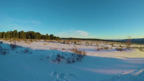 Winter landscape with cedar tree and mountains covered snow. Stock Footage 83182563