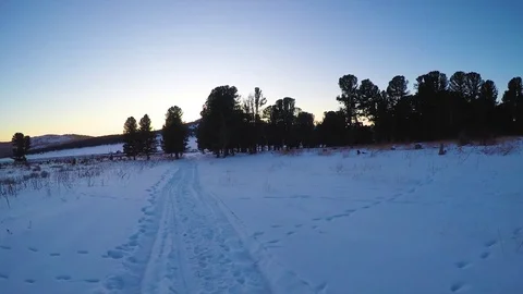 Winter landscape with cedar tree and mountains covered snow. Stock Footage 83184924
