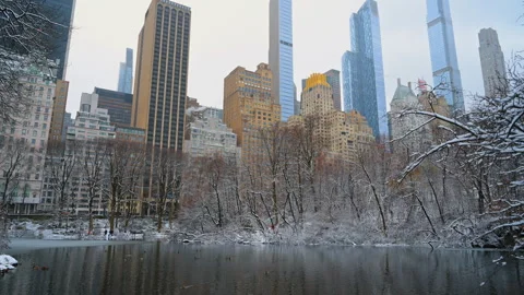 Winter landscape of Central Park Pond with Midtown Manhattan skyscrapers. Snow Video stock 328968726