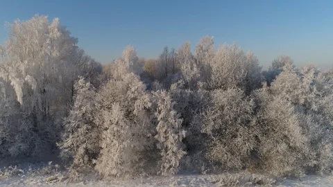 Winter landscape in countryside Stock Footage 114871154