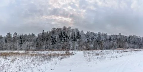 Winter landscape in the countryside with trees and houses. Stock Photos