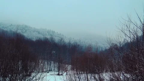Winter landscape covered with snow. Stock Footage 237774057