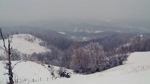 Winter landscape covered with snow. Video stock 237774717
