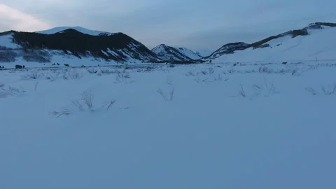 Winter landscape in Crested Butte Stock Footage 312216027