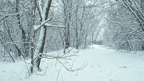 Winter landscape in details Stock Footage 82934922