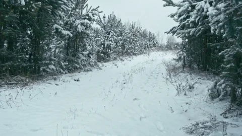 Winter landscape in details. Stock Footage 83071773