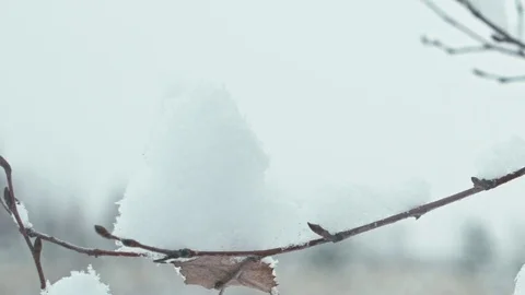 Winter landscape in details. Stock Footage 83076177