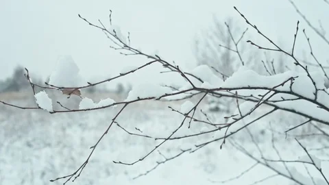 Winter landscape in details. Stock Footage 83076235