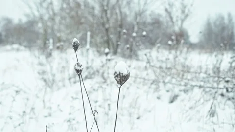Winter landscape in details. Stock Footage 83082231