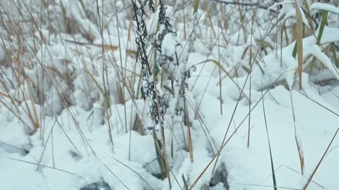 Winter landscape in details. Video stock 83082700