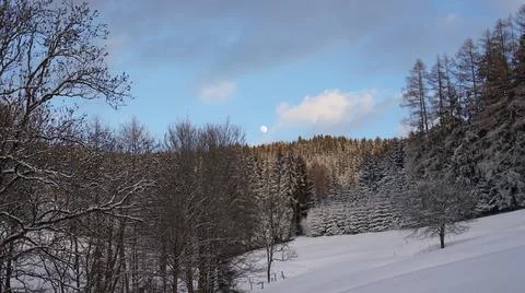 Winter landscape with different trees , snow &amp; a full moon in blue sky Stock Photos