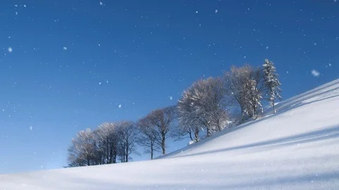 Winter landscape during snowfall Stock Footage 97997237