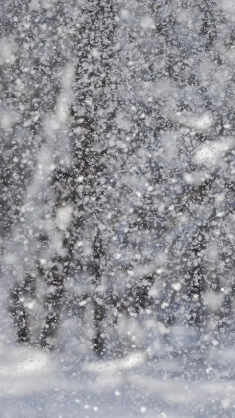 Winter landscape during snowfall. Winter Christmas abstract background on s.. Stock Footage 346393878