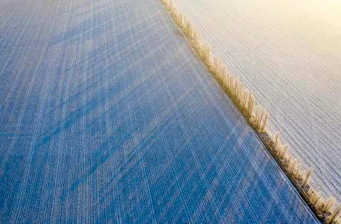 Winter landscape. Empty agricultural fields and trees covered with snow. Stock Photos
