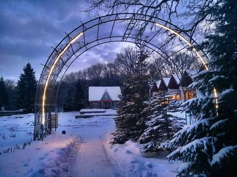 Winter landscape in the evening. Stock Photos