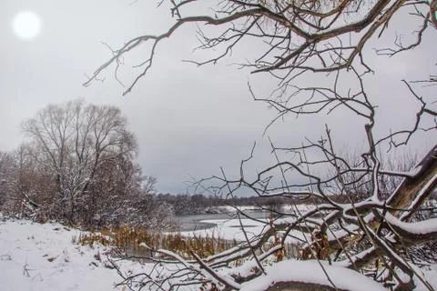 Winter landscape with a fallen willow tree Stock Photos