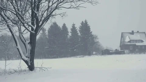 Winter landscape with falling snow. Everything is covered with fresh powder. 動画素材 84288148