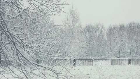 Winter landscape with falling snow. Everything is covered with fresh powder. 動画素材 84759452