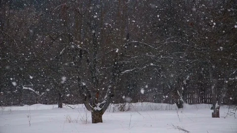 Winter landscape with falling snow Stock Footage 71365178