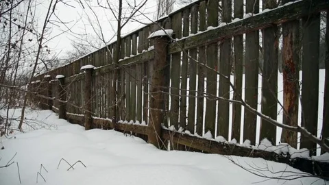 Winter landscape with falling snow Stock Footage 74955520