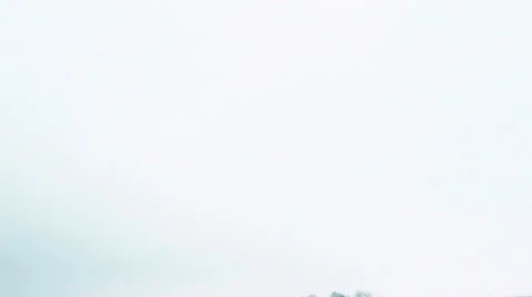 Winter landscape - falling snow over little grove of frosty trees. Stock Footage 60646569