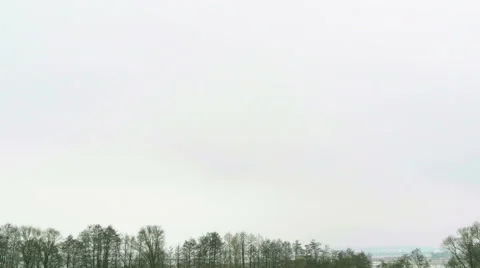 Winter landscape - falling snow over little grove of frosty trees. Stock Footage 60648227