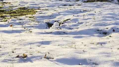 Winter landscape featuring ground partially covered in sparkling white snow and Stock Footage 344845343