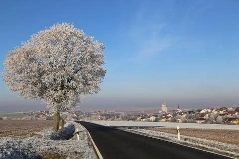 Winter landscape with fields and meadows Stock Photos