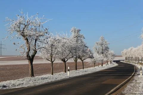 Winter landscape with fields and meadows Stock Photos