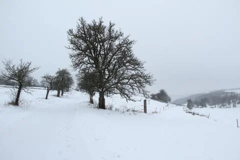 Winter landscape with fields and meadows Stock Photos