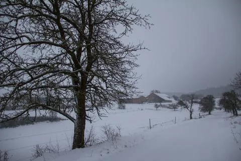Winter landscape with fields and meadows Stock Photos