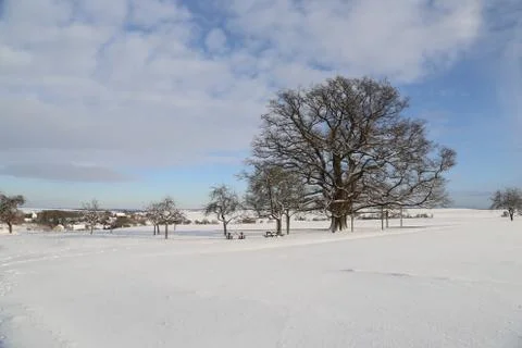 Winter landscape with fields and meadows Stock Photos