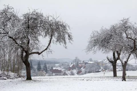 Winter landscape with fields and meadows Stock-Fotos