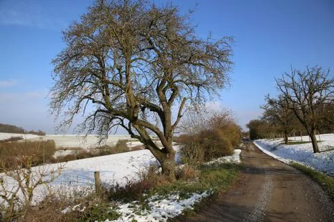 Winter landscape with fields and meadows Stock Photos