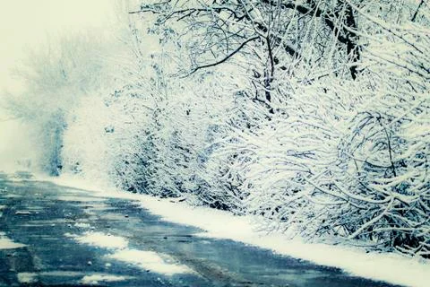 Winter landscape, first snow on tree branches. Blurred image Stock Photos