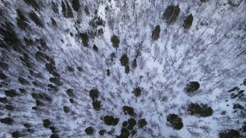 Winter landscape, flight over mountains 库存影片 170066794