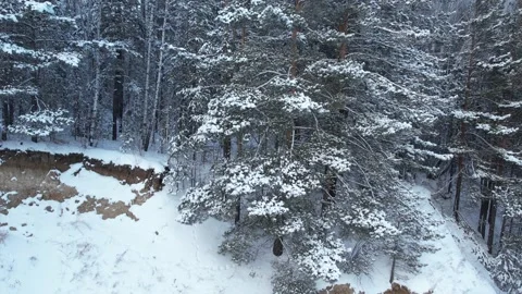 Winter landscape, flight over mountains  库存影片 170152073