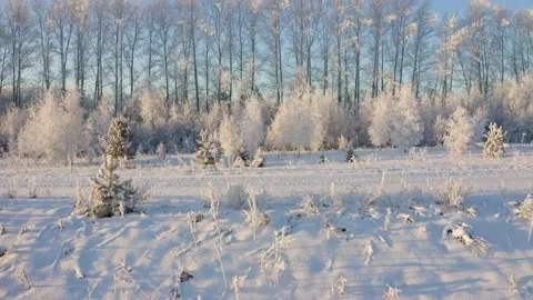  Winter landscape flight over snow-covered trees 库存影片 144464565