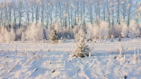  Winter landscape flight over snow-covered trees 库存影片 144464611