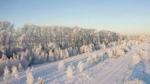  Winter landscape flight over snow-covered trees 库存影片 144464612