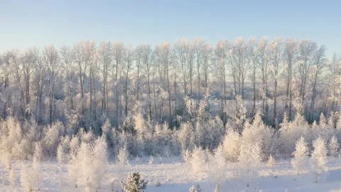  Winter landscape flight over snow-covered trees 库存影片 144464620