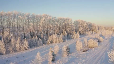  Winter landscape flight over snow-covered trees 库存影片 144464657