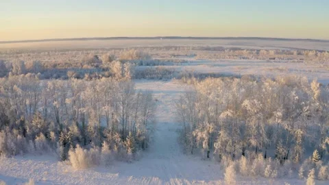 Winter landscape flight over snow-covered trees, aerial footage Stock Footage 144484032